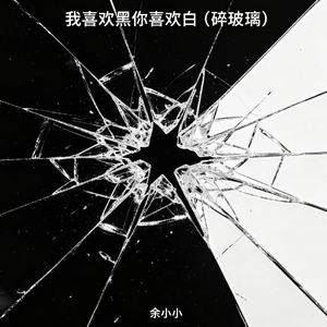 我喜欢黑你喜欢白（碎玻璃）
