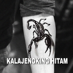 Kalajengking Hitam