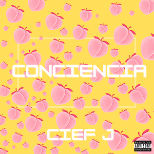 Conciencia