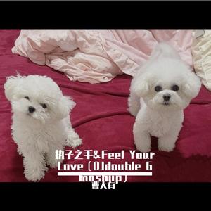 执子之手（DJdouble.G Edit Bootleg）