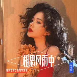 相思风雨中(港风女声版)