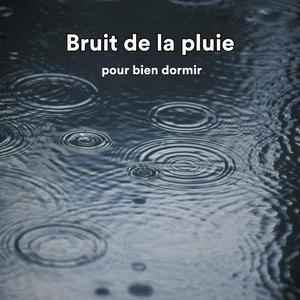 bruit du vent et de la pluie