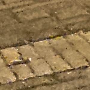 FIEE (追寻) （prod by Coredou)