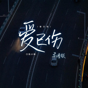 爱已伤 (柔情版DJ)