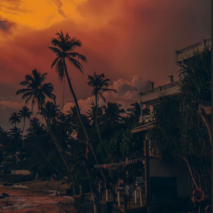 和你看的海更蓝