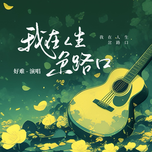 我在人生岔路口(伴奏)