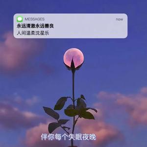 总有一天你会出现在我身边-温柔女声