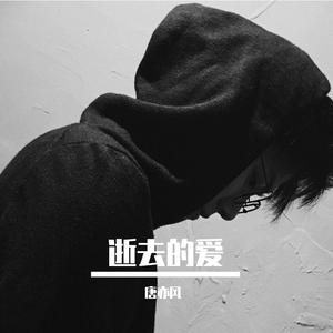 逝去的爱（翻自 李安）