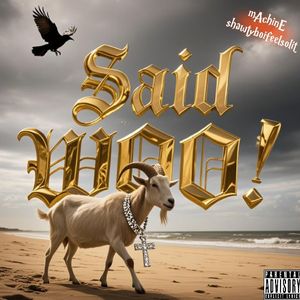 Said WOO!(prod by.VOX)