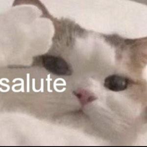 忘了去记得（翻自 戚薇）