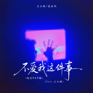 不爱我这件事(feat.王小帅) (电台R&B版)