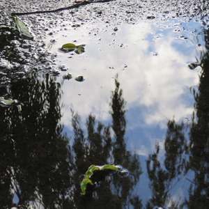 夏空に麦わら帽は舞う