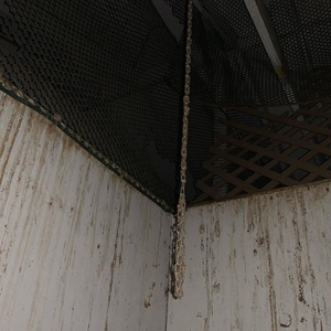 шепчет память