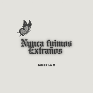 NUNCA FUIMOS EXTRAÑOS