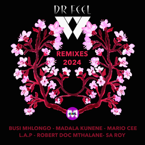 Doc's Naledi (Dr. Feel's Mix)