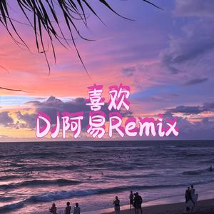 喜欢（DJ阿易Remix）