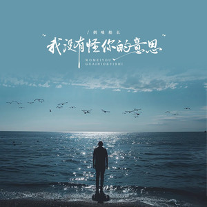 我没有怪你的意思 (伴奏)