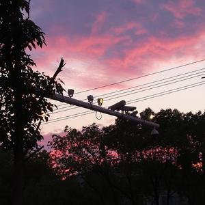 粉红色气泡水女孩