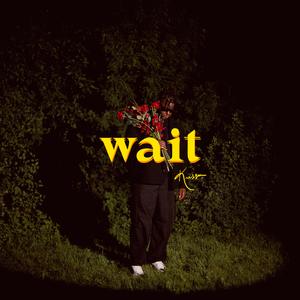Wait (feat. Yvng Chriis) (Remix)