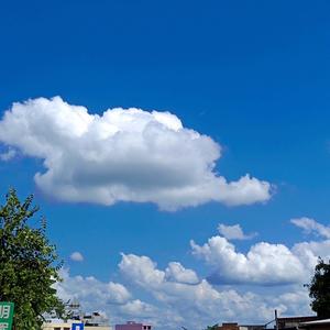 伯虎说（戏腔小片段）