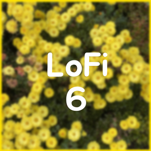 잠안올 때 로파이