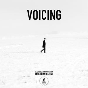 Voicing by Andreh Moradian
