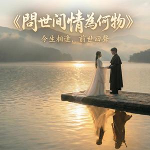 《問世間情為何物》今生相逢，前世回聲
