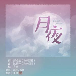 月夜（翻自 双笙）