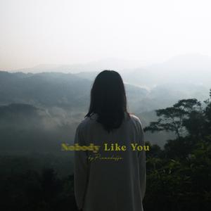 Nobody Like You