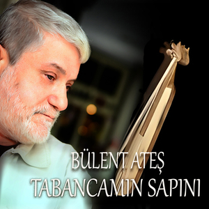 Tabancamın Sapını