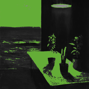 欲语 Kōrero（颜博恩Jade Yan）