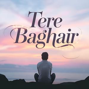 Tere Baghair