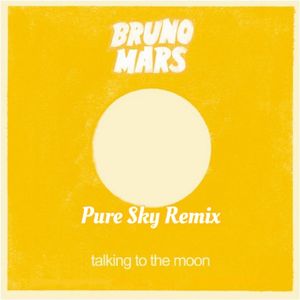 Bruno Mars-Talking To The Moon（Pure Sky remix）