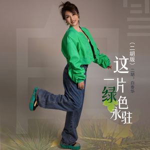 这一片绿色永驻（二胡版）