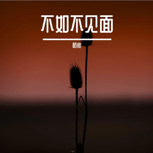 梁老师Tsong-不如不见面（remix）（陌丧 remix）