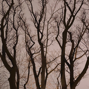 在错的时间遇见对的你