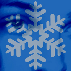 the lights shine brighter