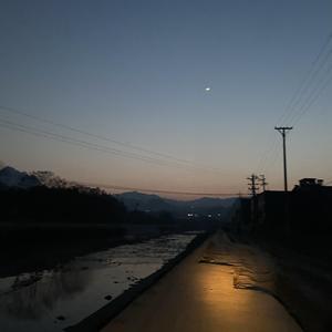 我不能再陪你走下去