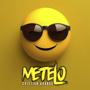 Metelo