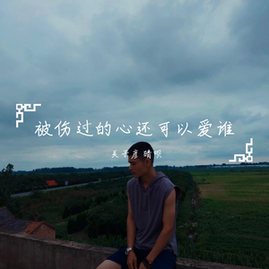 被伤过的心还可以爱谁（翻自 六暂）