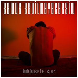 Sende Sevilmeyeceksin (feat. Narxoz)