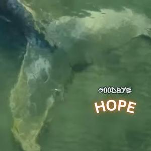 Goodbye Hope