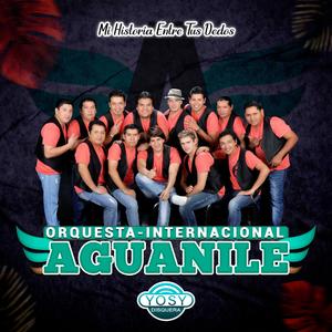 Aguanile