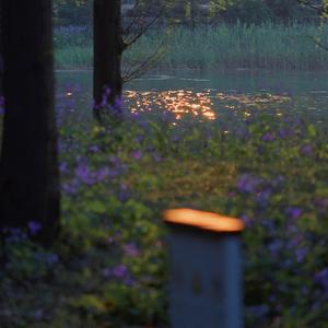 又失恋了 （cover花粥）