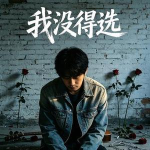 我没得选