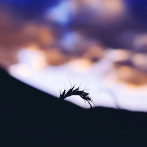 道是无晴却有晴