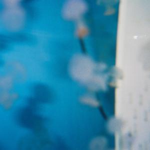 我不在乎世界如何荒唐