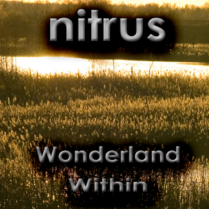 Memories Lost in Time