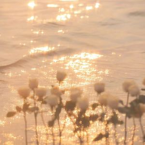 到时见（Acoustic Version）