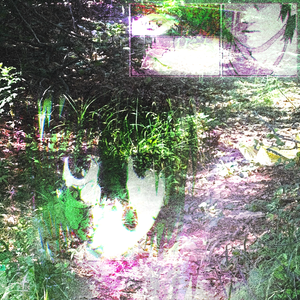 草